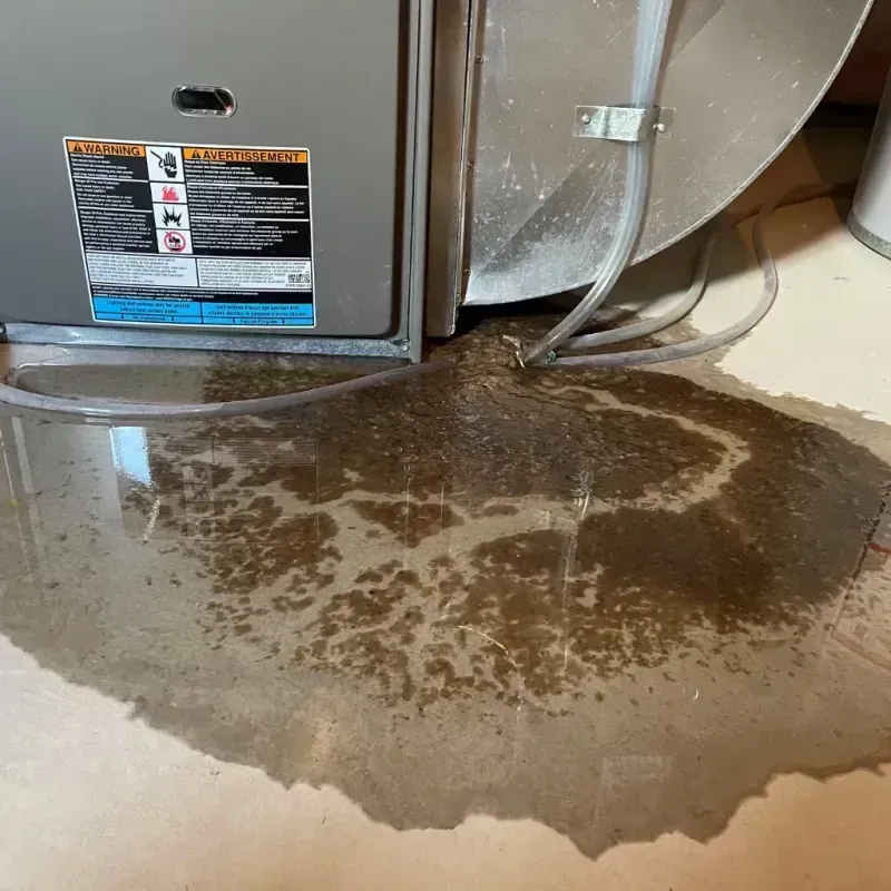 Appliance Leak Cleanup in Yorketown, NJ